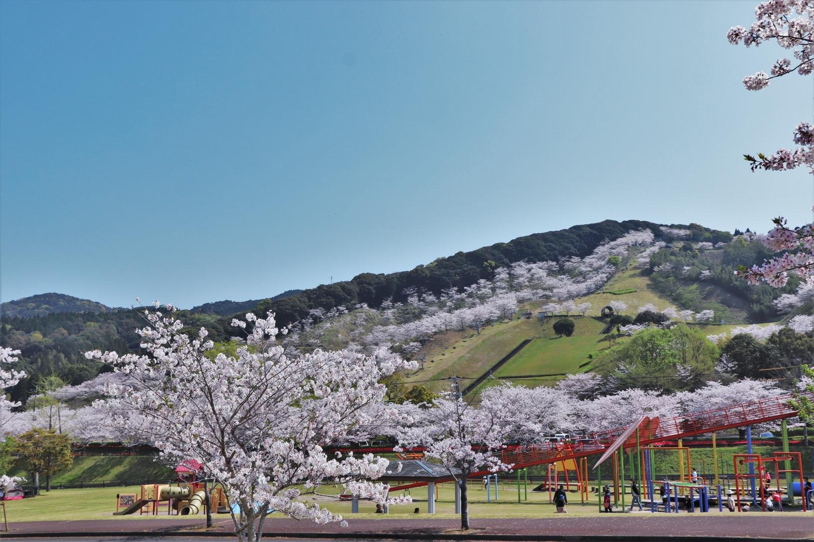 🏞️ 간논이케 공원(칸논이케 코우엔)